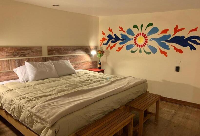اتاق سوپریور, Gaia House Hostel