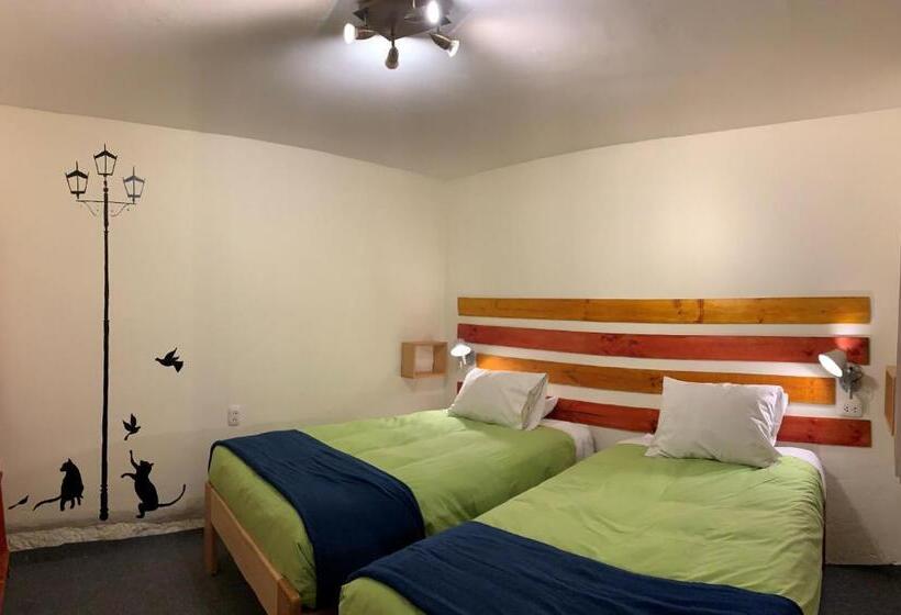 اتاق اکونومی, Gaia House Hostel