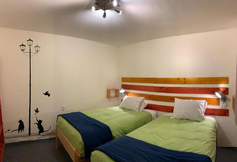 اتاق اکونومی, Gaia House Hostel