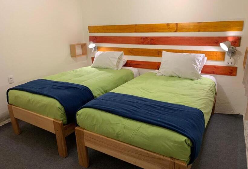 اتاق اکونومی, Gaia House Hostel