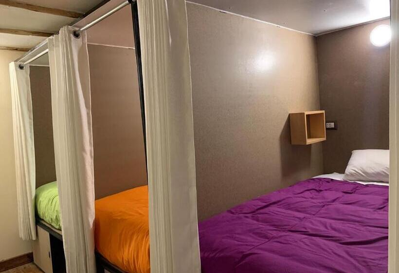 تختخواب در اتاق مشترک, Gaia House Hostel