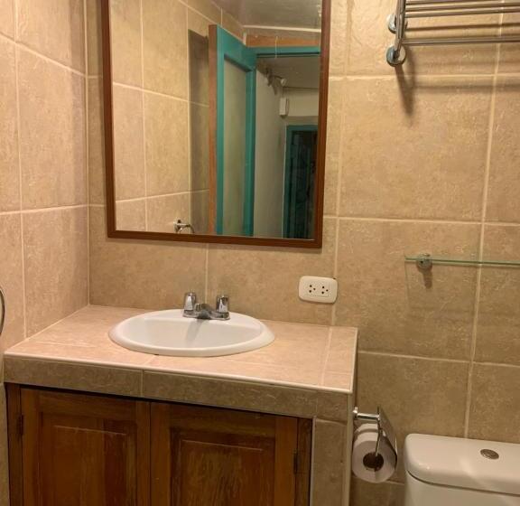 تختخواب در اتاق مشترک, Gaia House Hostel