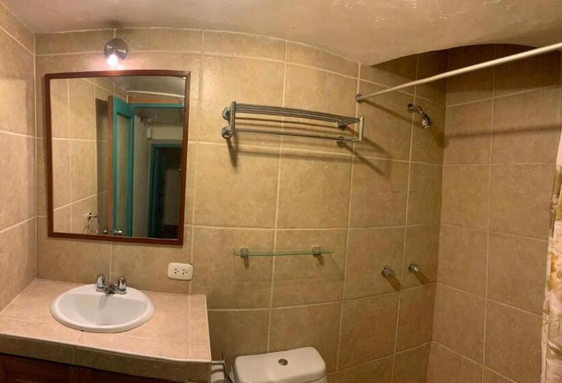 تختخواب در اتاق مشترک, Gaia House Hostel