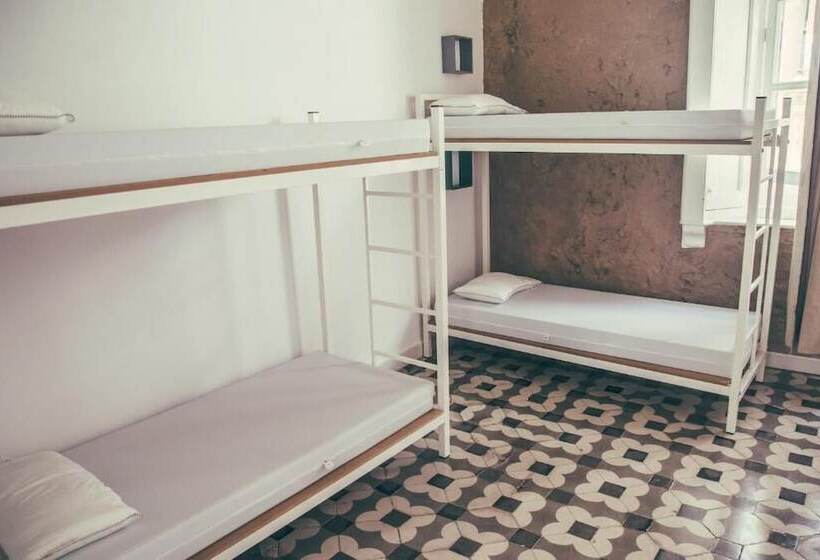 Bed in Shared Room with Shared Bathroom, South Hostel Cádiz   Service Center