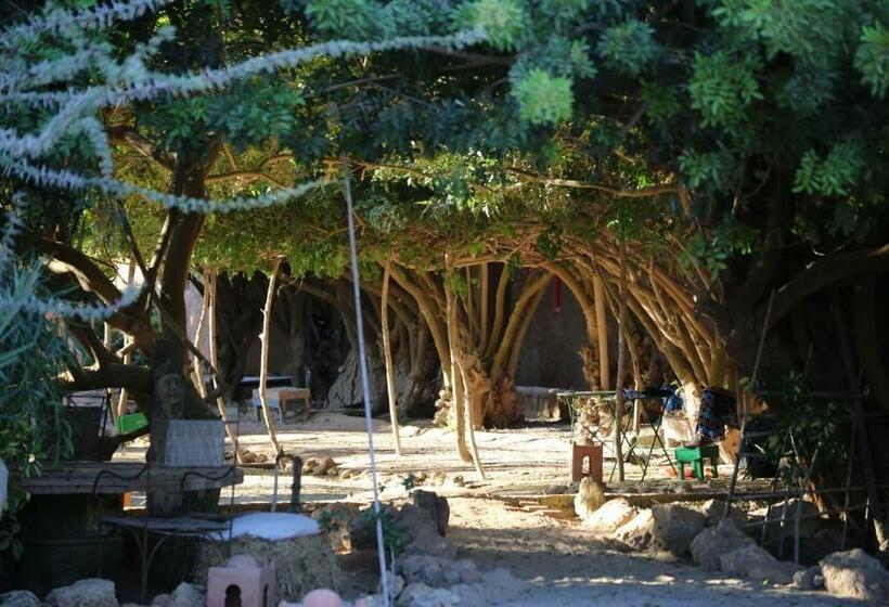 디럭스 룸, Dar Tawarta Guest House Dakhla