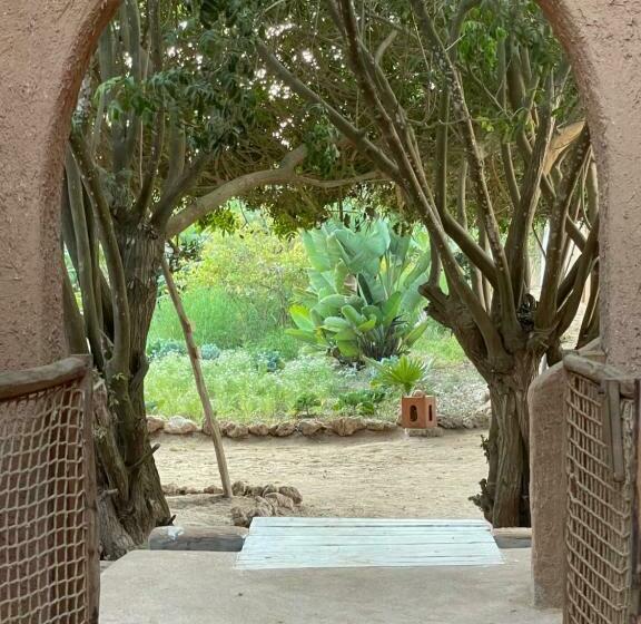 디럭스 룸, Dar Tawarta Guest House Dakhla