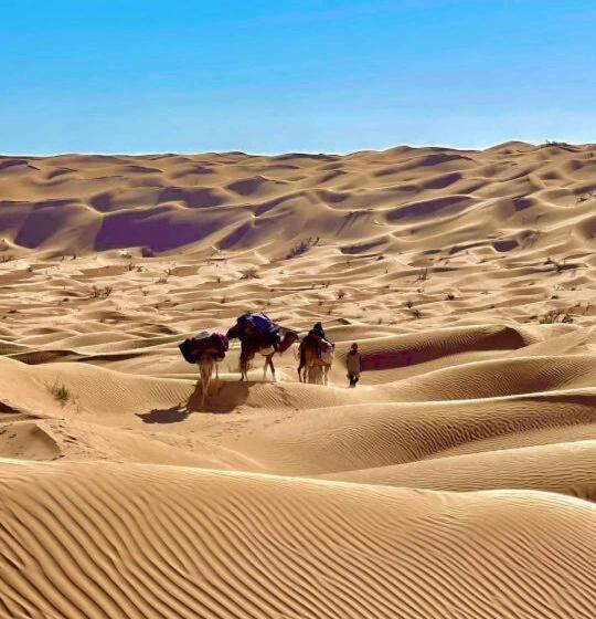 اتاق استاندارد سه تخته با چشم‌انداز باغ, Grand Sud, La Maison De Sable