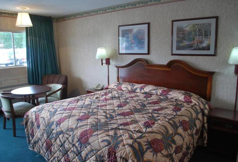 اتاق استاندارد با تخت بزرگ, Best Motel Lakeland