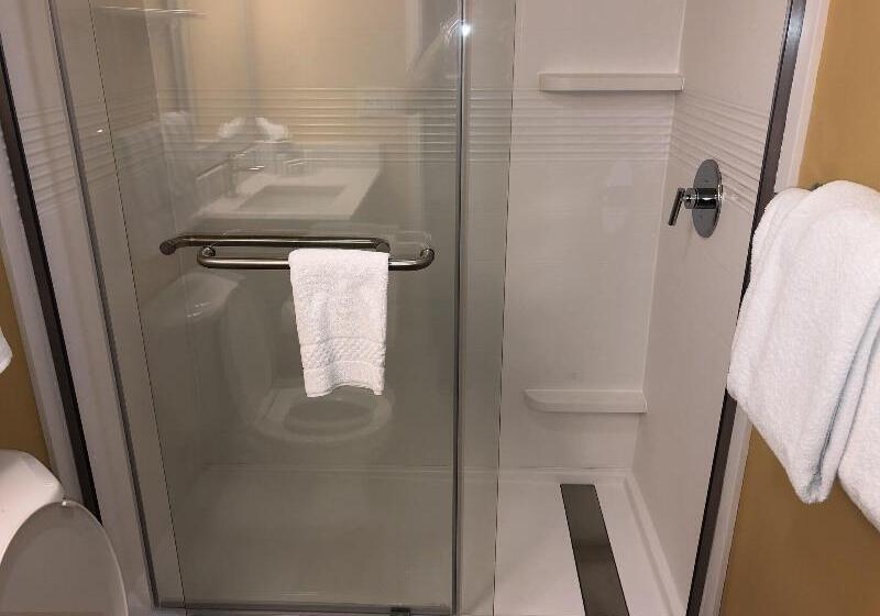 اتاق استاندارد با تخت بزرگ برای معلولان, Best Western Plus Sun Canyon