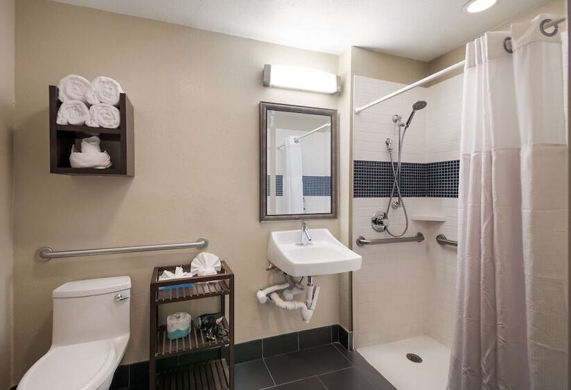 سوئیت 2 خوابه, Sonesta Es Suites Dulles Airport