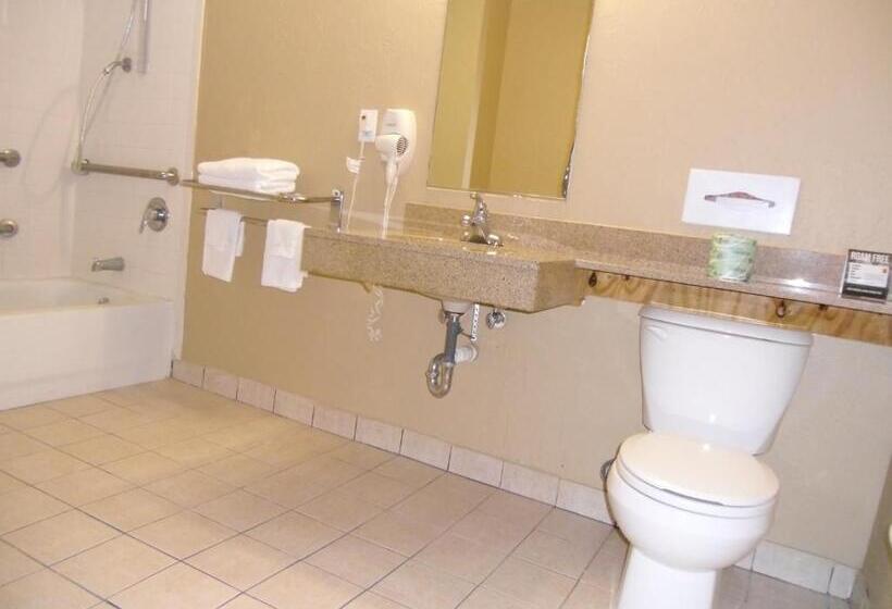 اتاق استاندارد با تخت بزرگ برای معلولان, Super 8 By Wyndham Lantana West Palm Beach