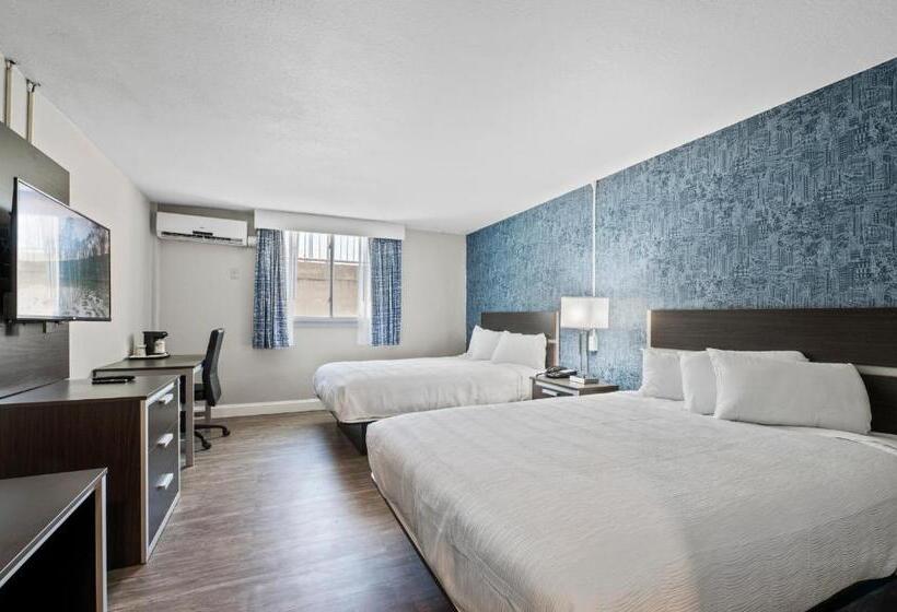 اتاق اکونومی, Inn On Arsenal