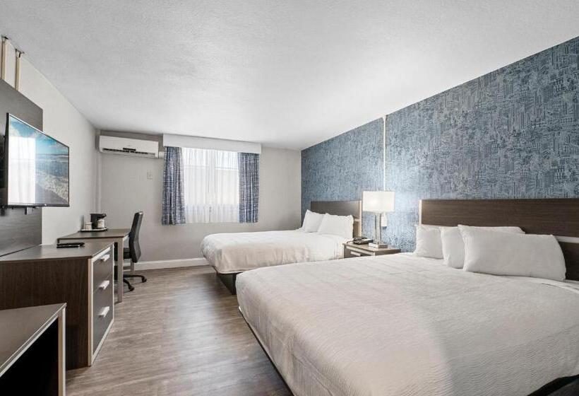 اتاق اکونومی, Inn On Arsenal