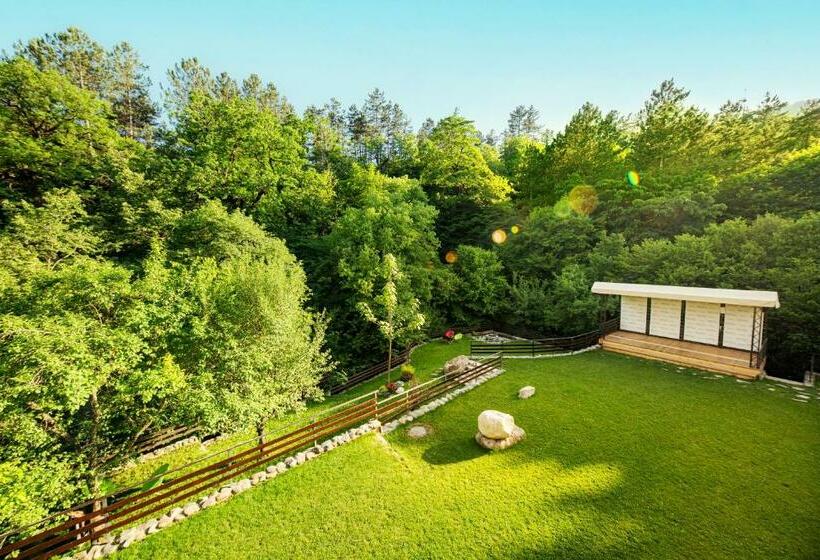 Cameră Standard cu Balcon, Dilijazz Hotel & Restaurant