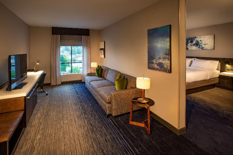 سوئیت جونیور با تخت بزرگ, Hilton Garden Inn Redmond Seattle