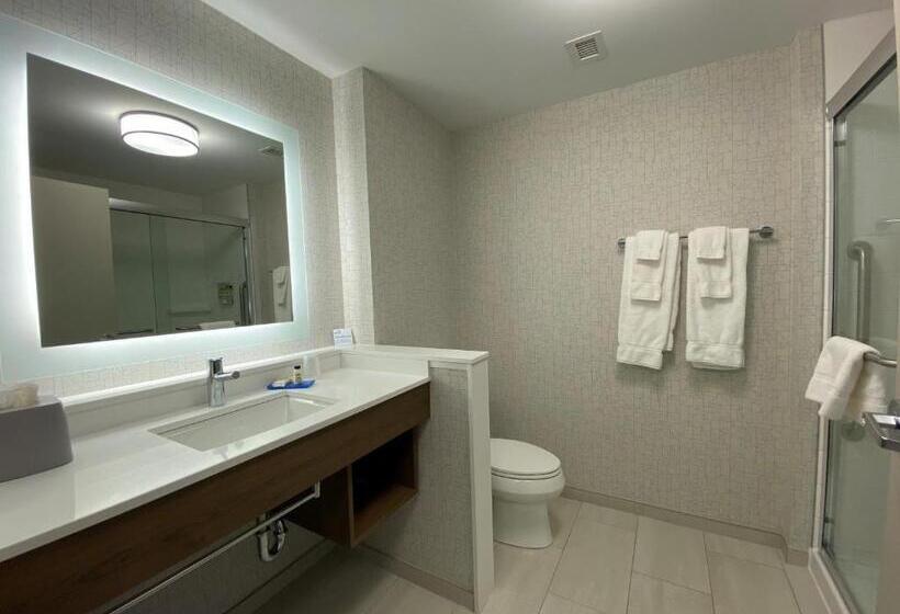 سوئیت با تخت بزرگ, Holiday Inn Express & Suites   Aurora, An Ihg
