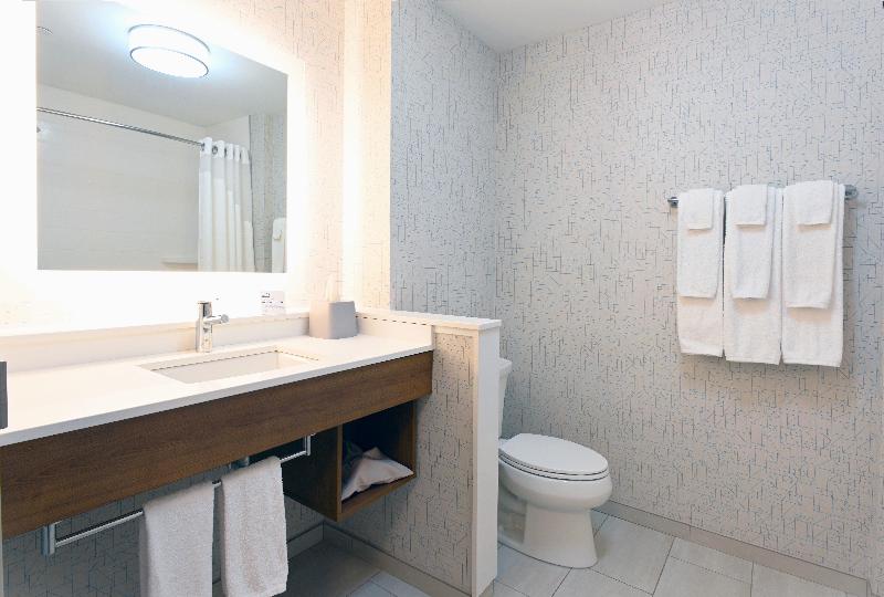 اتاق استاندارد با تخت بزرگ, Holiday Inn Express & Suites   Aurora, An Ihg