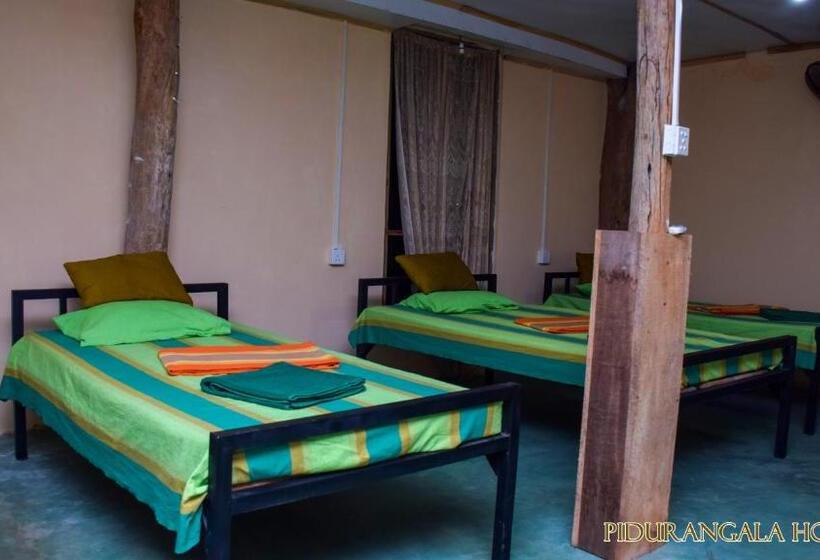 تختخواب در اتاق مشترک, Pidurangala Hostel