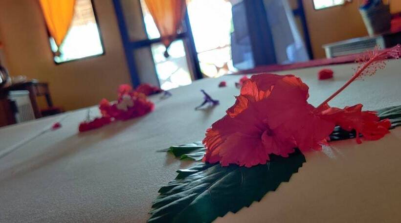 سوییت جونیور با چشم‌انداز دریا, Villa Dida Resort