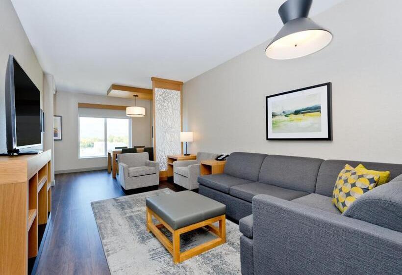 سوئیت با تخت بزرگ, Hyatt Place Kelowna