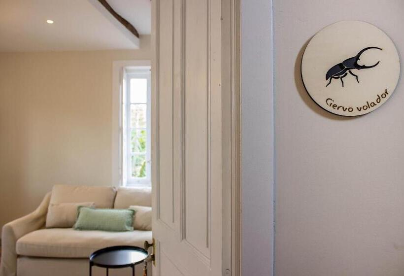 آپارتمان 1 خوابه, Hostal Lierganes Fluviarium Rooms