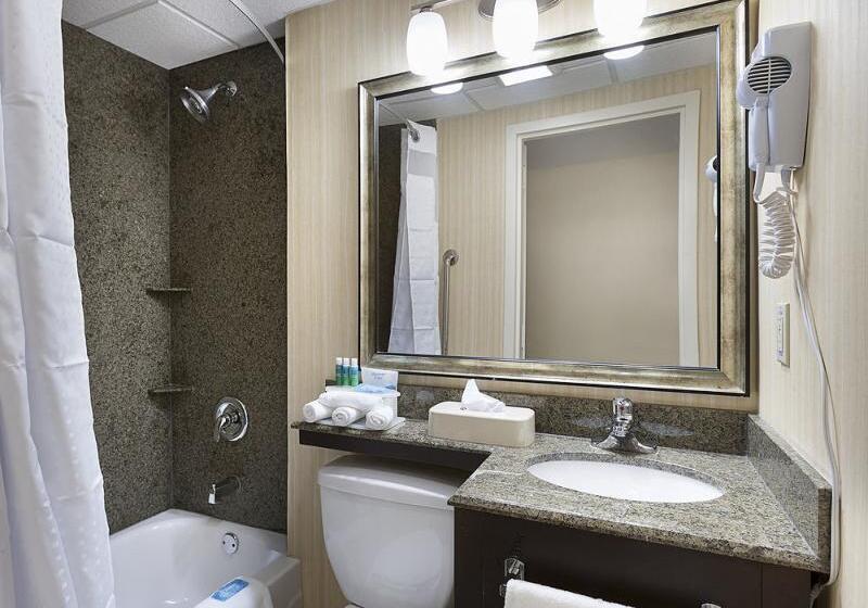 اتاق استاندارد با تخت دو نفره بزرگ, Holiday Inn Express & Suites  Atlanta Downtown