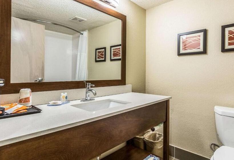 اتاق استاندارد با تخت بزرگ, Comfort Inn N Myrtle Beach Barefoot Landing
