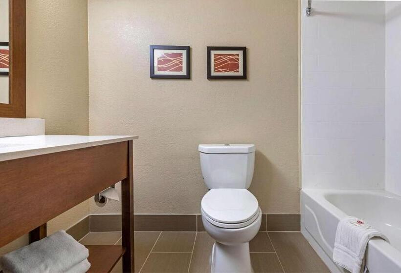 اتاق استاندارد با تخت بزرگ, Comfort Inn N Myrtle Beach Barefoot Landing