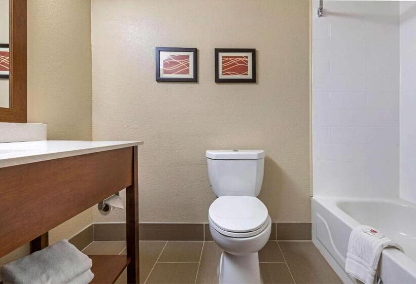 اتاق استاندارد با تخت بزرگ, Comfort Inn N Myrtle Beach Barefoot Landing