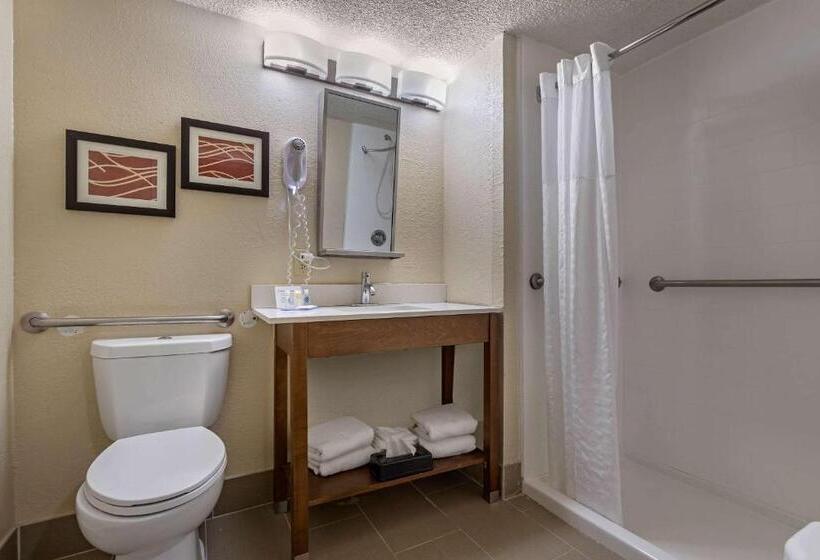 اتاق استاندارد برای معلولان, Comfort Inn N Myrtle Beach Barefoot Landing