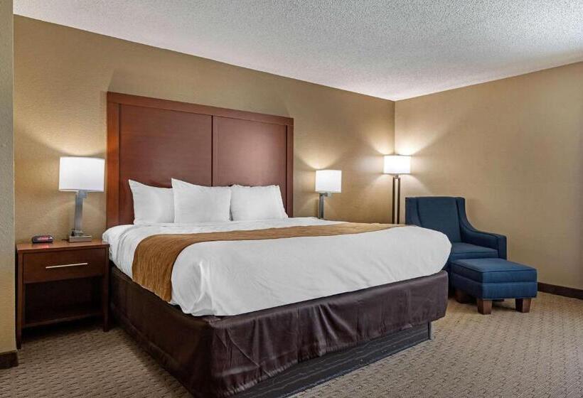 اتاق استاندارد با تخت بزرگ, Comfort Inn N Myrtle Beach Barefoot Landing