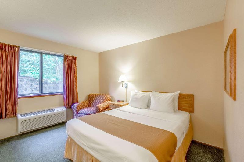 اتاق استاندارد با تخت بزرگ, Rodeway Inn