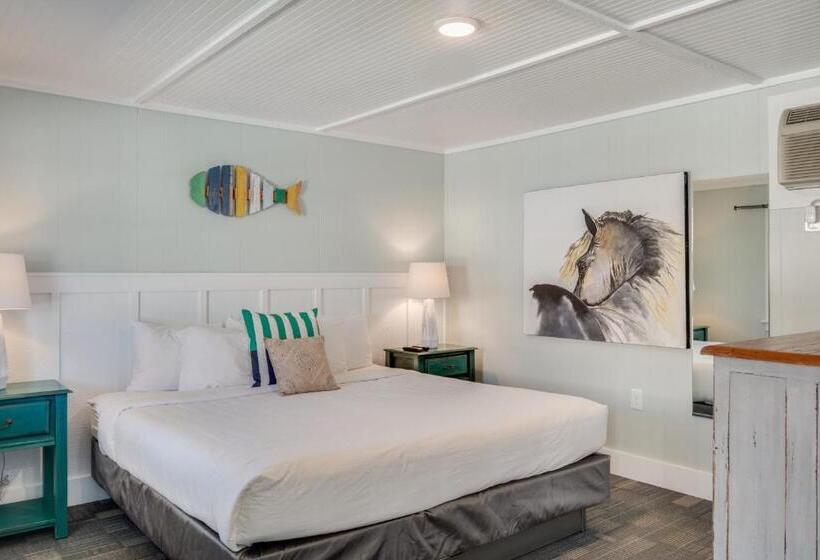 اتاق استاندارد با تخت بزرگ, Tar Heel Motel