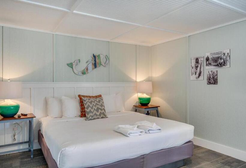 اتاق استاندارد با تخت بزرگ, Tar Heel Motel