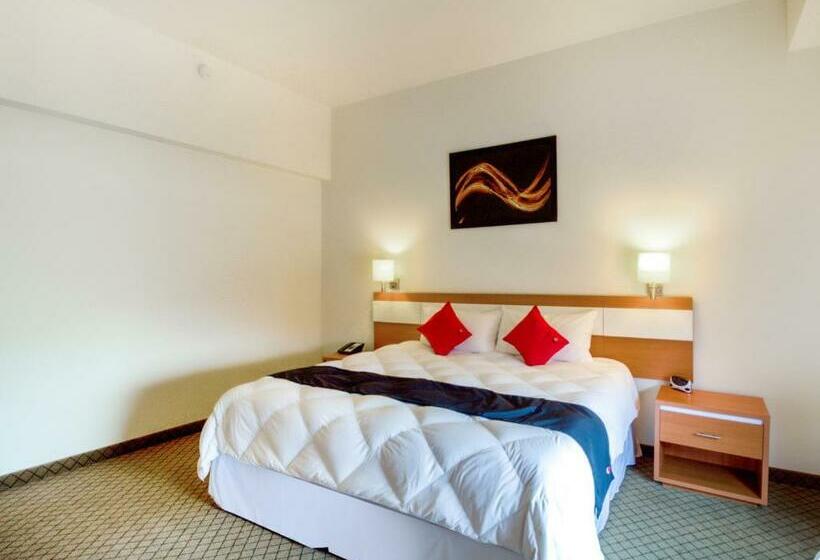 اتاق سوپریور, Los Herederos Hotel Piedras Negras