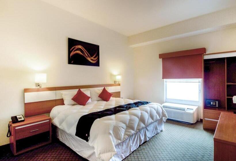 اتاق سوپریور, Los Herederos Hotel Piedras Negras
