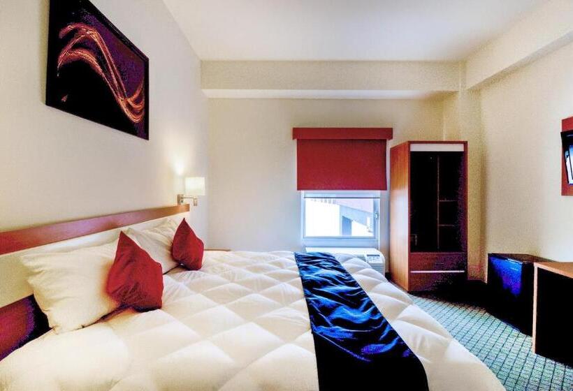 اتاق سوپریور, Los Herederos Hotel Piedras Negras