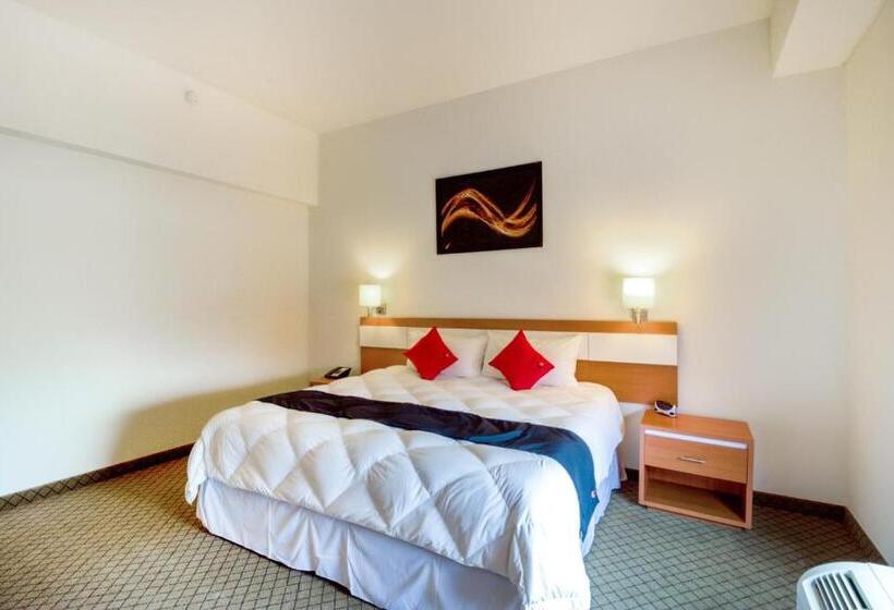 اتاق سوپریور, Los Herederos Hotel Piedras Negras