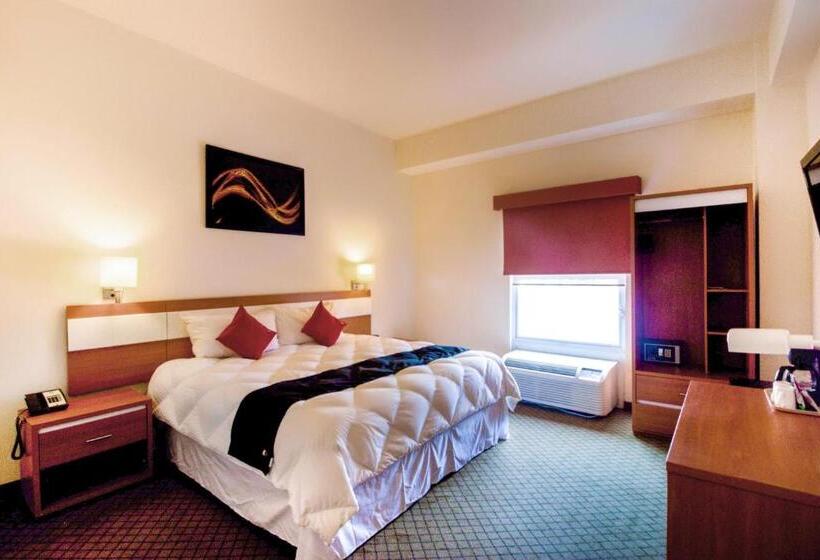 اتاق سوپریور, Los Herederos Hotel Piedras Negras