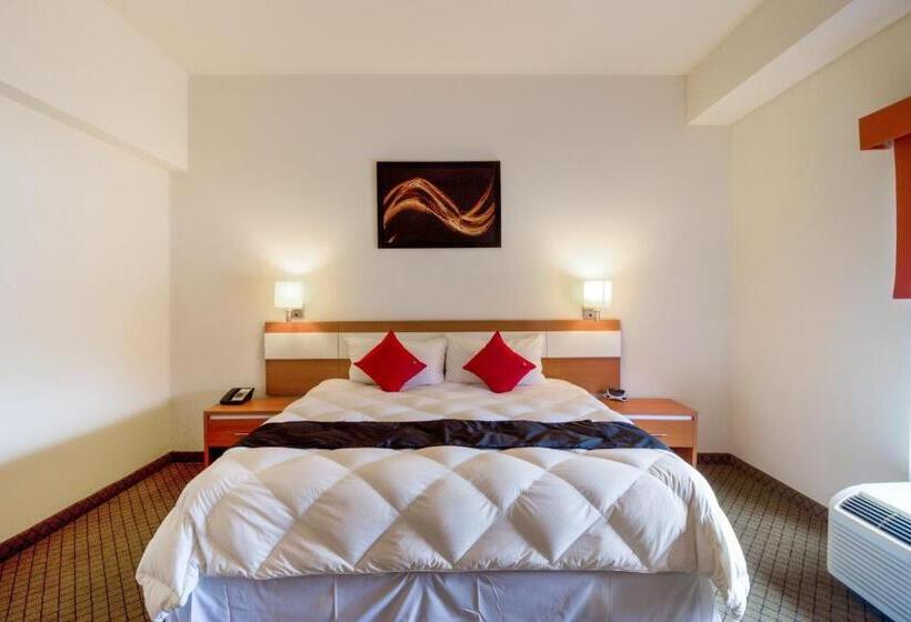 اتاق سوپریور, Los Herederos Hotel Piedras Negras