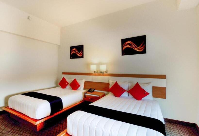 اتاق استاندارد, Los Herederos Hotel Piedras Negras