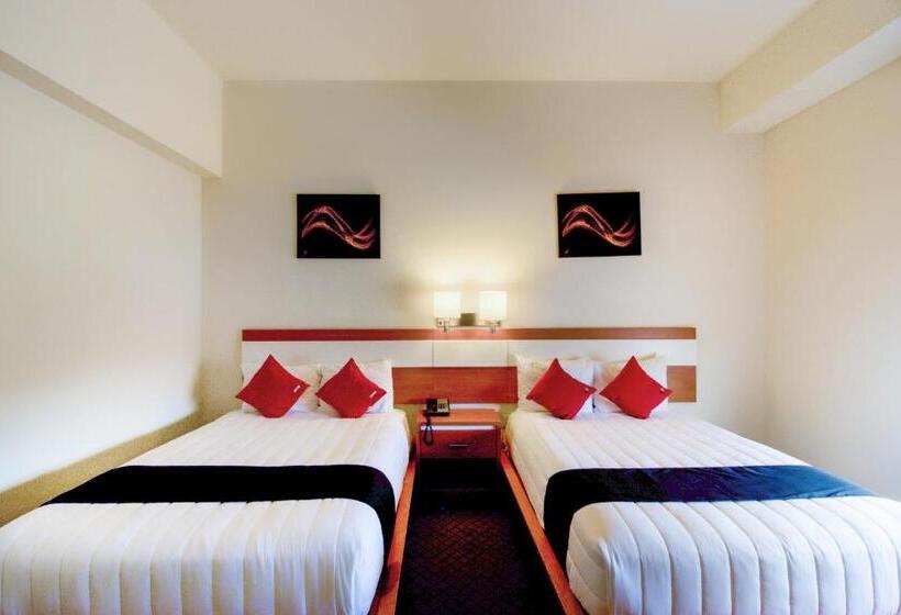 اتاق استاندارد, Los Herederos Hotel Piedras Negras