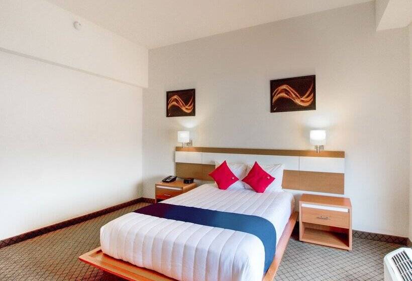 اتاق استاندارد, Los Herederos Hotel Piedras Negras