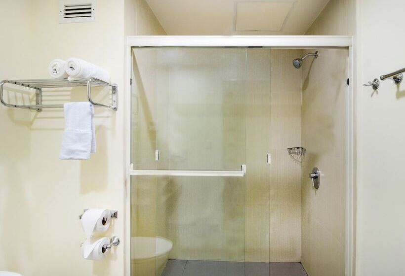 اتاق استاندارد, Los Herederos Hotel Piedras Negras