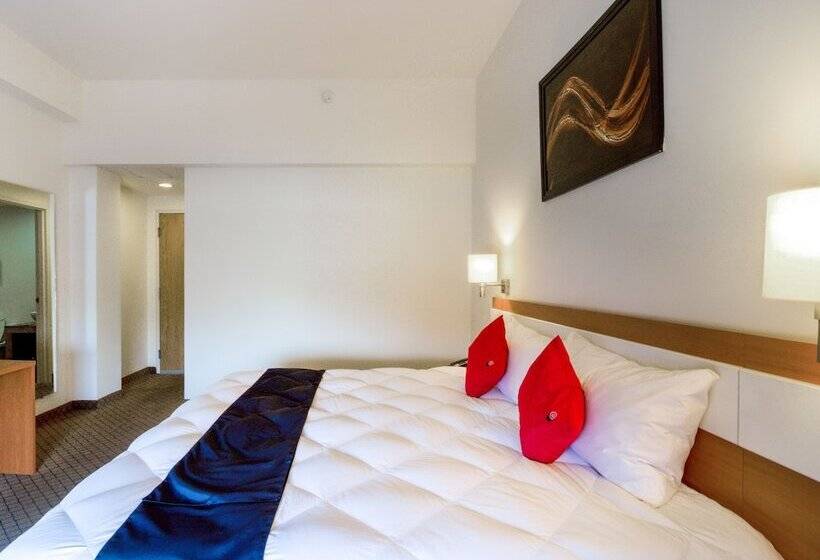 اتاق سوپریور, Los Herederos Hotel Piedras Negras