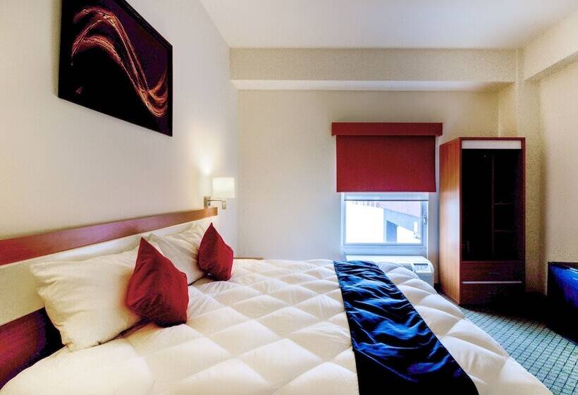 اتاق سوپریور, Los Herederos Hotel Piedras Negras