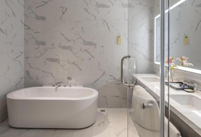 سوئیت با تخت بزرگ, Hyatt Place Changsha Airport