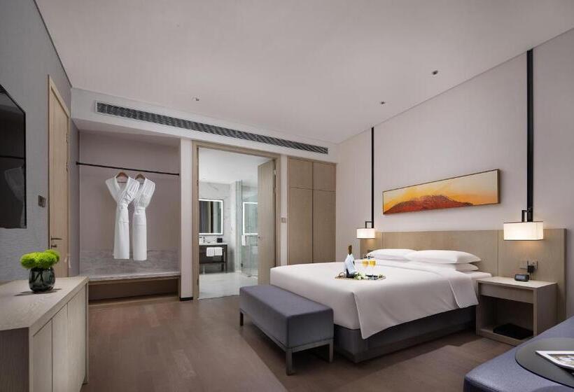 سوئیت با تخت بزرگ, Hyatt Place Changsha Airport