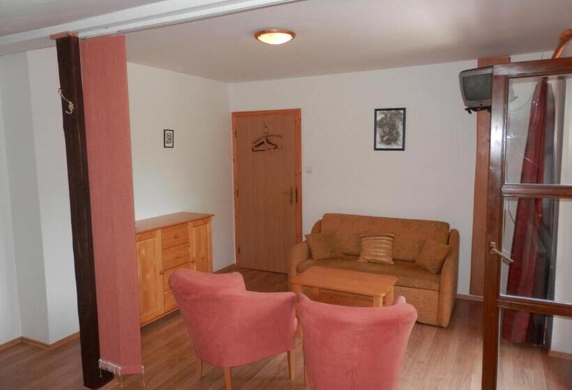 اتاق استاندارد, Penzion Stárek