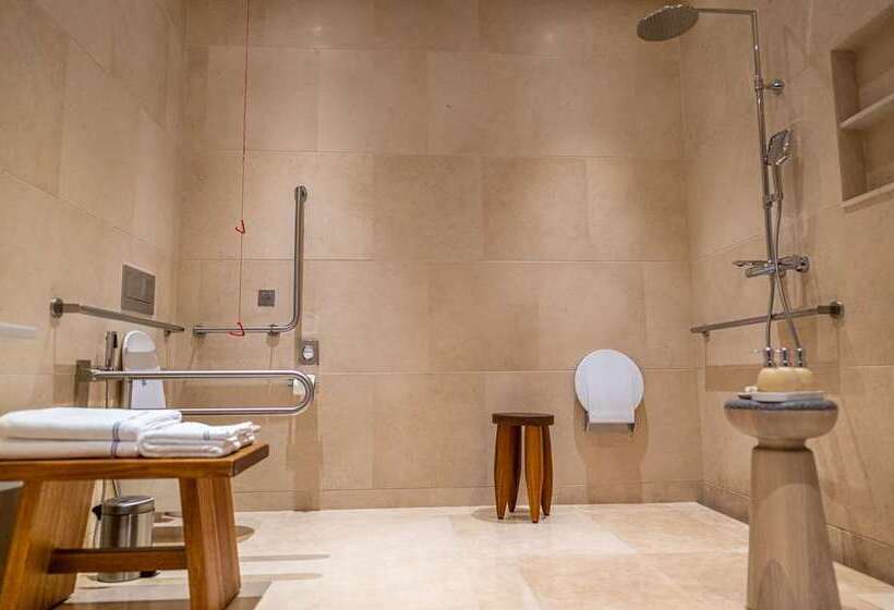 اتاق دلوکس مخصوص معلولین, The Royal Senses Resort & Spa Crete, Curio Collection Hilton